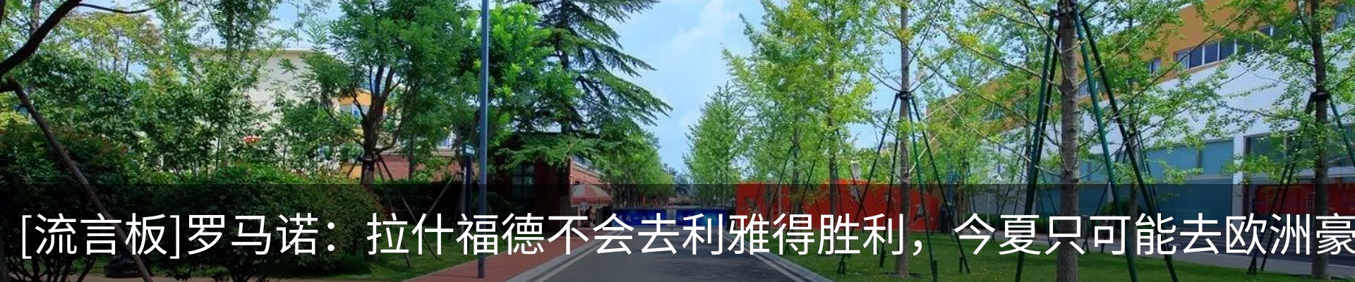 新闻动态